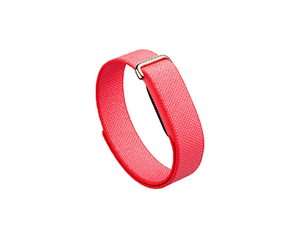 Google Fitbit Air
